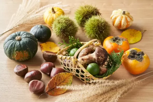 秋に旬のおすすめ食材とは？　食欲の秋こそ食べたいおすすめきのこ料理